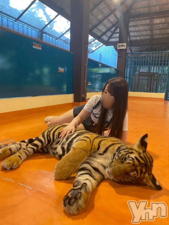 甲府ソープ石蹄(セキテイ)ひなた(24)の2024年12月11日写メブログ「 🌟次回出勤🌟」