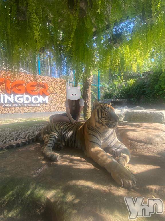 甲府ソープ石蹄(セキテイ)ひなた(24)の2025年1月30日写メブログ「おはようございます💓‪」