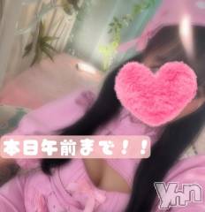 甲府ソープBARUBORA(バルボラ) れみ(20)の1月3日写メブログ「午前まで🎀」