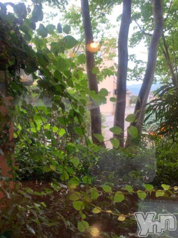 甲府デリヘル甲府人妻隊(コウフヒトヅマタイ) えり(50)の9月8日写メブログ「おはようございます🌟」