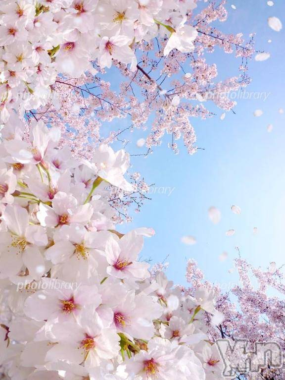 甲府デリヘル甲府人妻隊(コウフヒトヅマタイ) えり(50)の3月28日写メブログ「ありがとう🌟えり」