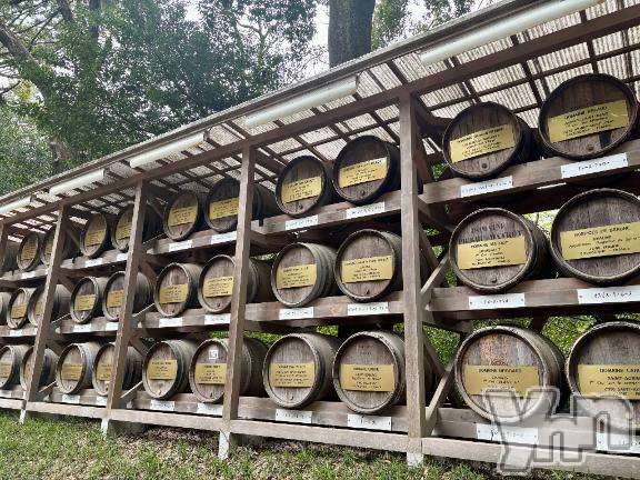 甲府デリヘル甲府人妻隊(コウフヒトヅマタイ) えり(50)の4月10日写メブログ「おやすみ中🌸えり」