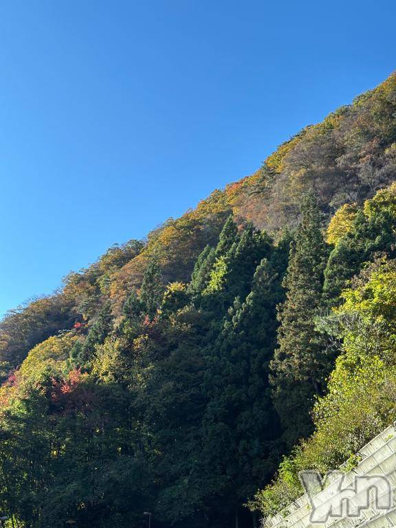 甲府デリヘル甲府人妻隊(コウフヒトヅマタイ) えり(50)の11月4日写メブログ「11月のスケジュール」