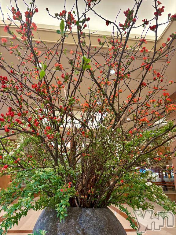 甲府デリヘル甲府人妻隊(コウフヒトヅマタイ) えり(50)の1月19日写メブログ「【今年3日目】」