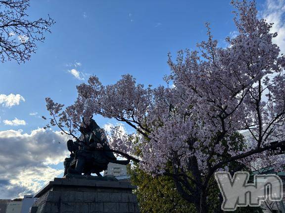 甲府デリヘル甲府人妻隊(コウフヒトヅマタイ) えり(50)の3月22日写メブログ「こんにちは✨」