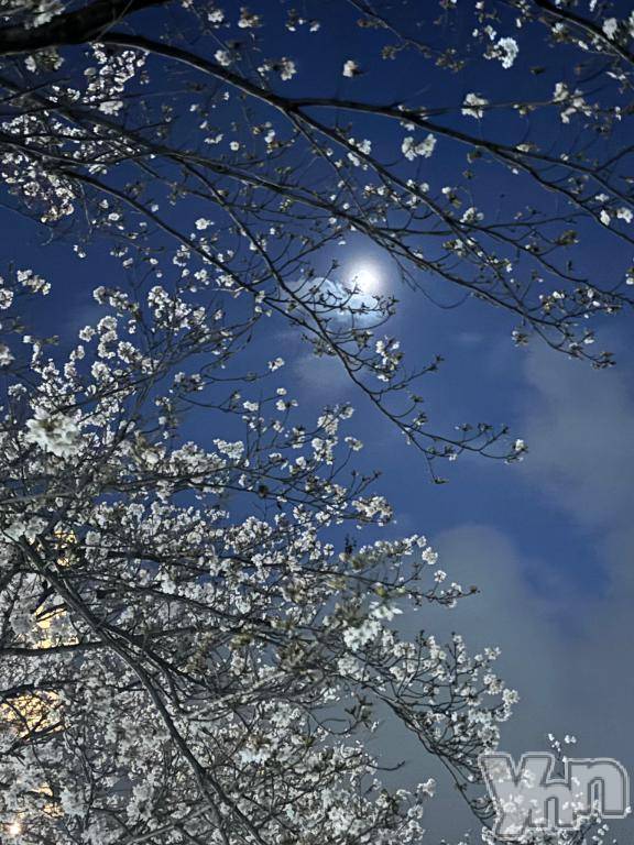 甲府デリヘル甲府人妻隊(コウフヒトヅマタイ) えり(50)の3月24日写メブログ「こんばんは🌃」