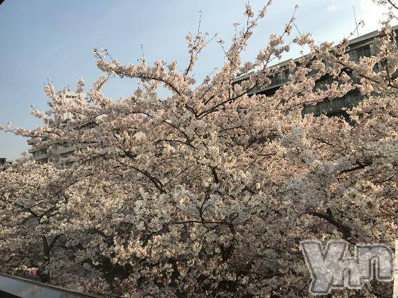 甲府デリヘル甲府人妻隊(コウフヒトヅマタイ)えり(50)の2025年4月3日写メブログ「明日出勤🌟えり」