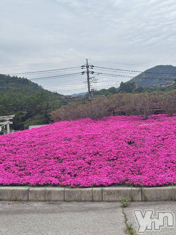 甲府デリヘル甲府人妻隊(コウフヒトヅマタイ)えり(50)の2025年4月30日写メブログ「おはよう🌟えり」