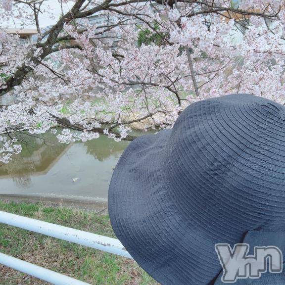 甲府デリヘル甲府人妻隊(コウフヒトヅマタイ)えり(50)の2026年3月20日写メブログ「桜開花🌸」