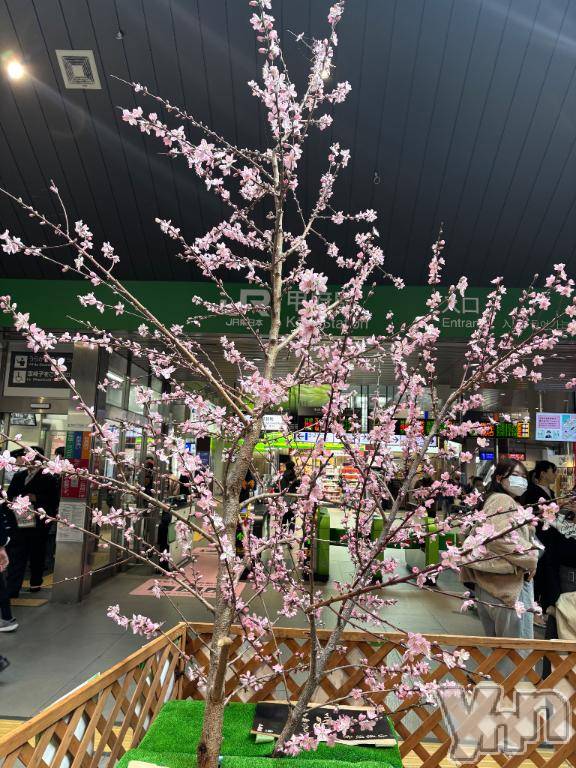 甲府デリヘル甲府人妻隊(コウフヒトヅマタイ)えり(50)の2026年3月27日写メブログ「帰ります♡」