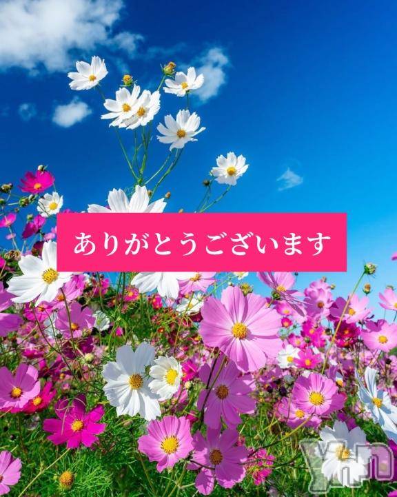 甲府デリヘル甲府人妻隊(コウフヒトヅマタイ)えり(50)の2026年9月19日写メブログ「🩵お礼写メ日記🩵」