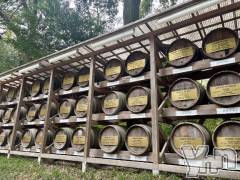 甲府デリヘル甲府人妻隊(コウフヒトヅマタイ) えり(50)の4月10日写メブログ「おやすみ中🌸えり」