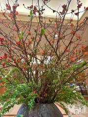 甲府デリヘル甲府人妻隊(コウフヒトヅマタイ) えり(50)の1月19日写メブログ「【今年3日目】」