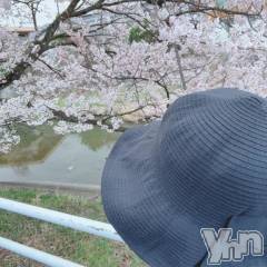 甲府デリヘル甲府人妻隊(コウフヒトヅマタイ) えり(50)の3月20日写メブログ「桜開花🌸」