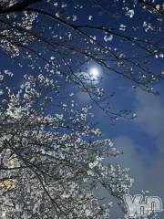 甲府デリヘル甲府人妻隊(コウフヒトヅマタイ) えり(50)の3月24日写メブログ「こんばんは🌃」