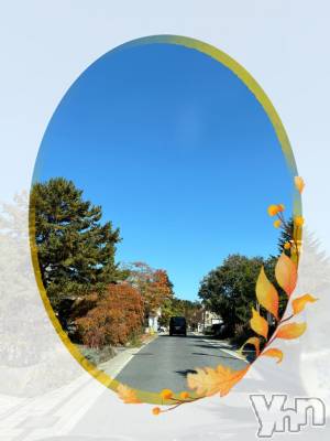 甲府デリヘル 甲府人妻隊(コウフヒトヅマタイ) えり(50)の11月8日写メブログ「久しぶりです♡きよ」