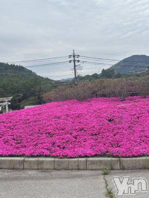 甲府デリヘル 甲府人妻隊(コウフヒトヅマタイ) えり(50)の4月30日写メブログ「おはよう🌟えり」