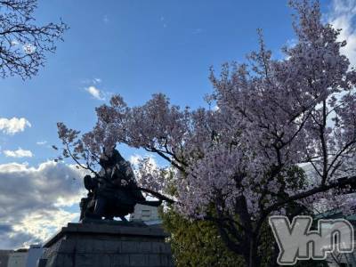 甲府デリヘル 甲府人妻隊(コウフヒトヅマタイ) えり(50)の3月22日写メブログ「こんにちは✨」