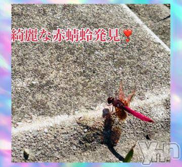 甲府デリヘル甲府人妻隊(コウフヒトヅマタイ) 新人かなこ(47)の6月15日写メブログ「お久し振りです」