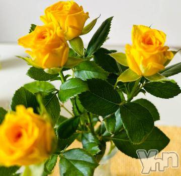 甲府デリヘル 甲府人妻隊(コウフヒトヅマタイ) 新人かなこ(47)の5月20日写メブログ「5日間♥️」