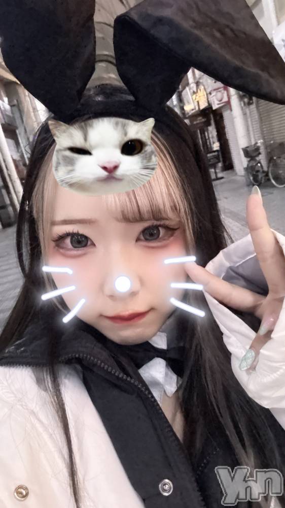 ���ܥ��ʥå��������륺�С�Girl's Bar All-in(�����륤��)(�����륺�С������륤��) ���䤫��1��17���̥�֥�����21�����餷��‼️��