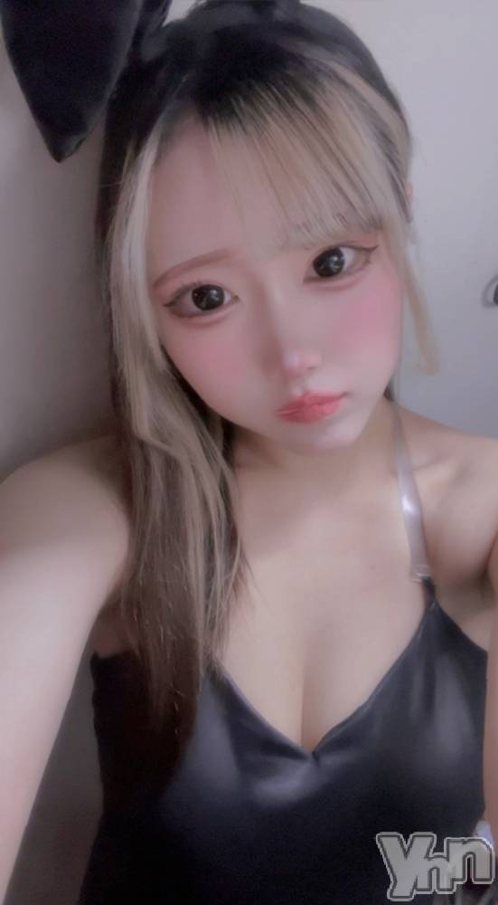 ���ܥ��ʥå��������륺�С�Girl's Bar All-in(�����륤��)(�����륺�С������륤��) ���䤫��3��8���̥�֥����֤��礦�⤤���❕��