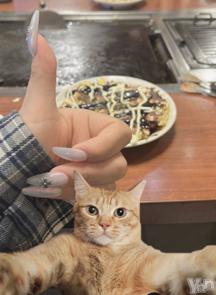 ���ܥ��ʥå��������륺�С�Girl's Bar All-in(�����륤��)(�����륺�С������륤��) ���䤫��7��15���̥�֥����֤����߾Ƥ���̣��������😭��