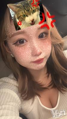 ���ܥ��ʥå��������륺�С�Girl's Bar All-in(�����륤��)(�����륺�С������륤��) ���䤫(20)��11��23���̥�֥�����21�����餷�塪��