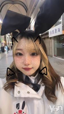 ���ܥ��ʥå��������륺�С�Girl's Bar All-in(�����륤��)(�����륺�С������륤��) ���䤫(20)��11��29���̥�֥�����22��~����