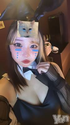 ���ܥ��ʥå��������륺�С�Girl's Bar All-in(�����륤��)(�����륺�С������륤��) ���䤫(20)��12��8���̥�֥�����21�����餤���🐰��