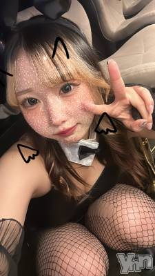 ���ܥ��ʥå��������륺�С�Girl's Bar All-in(�����륤��)(�����륺�С������륤��) ���䤫(20)��12��13���̥�֥�����22�����餤��衼��