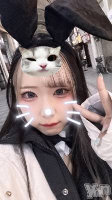 ���ܥ��ʥå��������륺�С�Girl's Bar All-in(�����륤��)(�����륺�С������륤��) ���䤫(20)��1��17���̥�֥�����21�����餷��‼️��