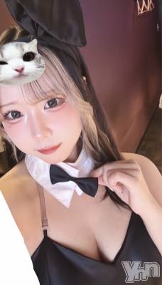 ���ܥ��ʥå��������륺�С�Girl's Bar All-in(�����륤��)(�����륺�С������륤��) ���䤫(20)��1��29���̥�֥����֤���衼💖��