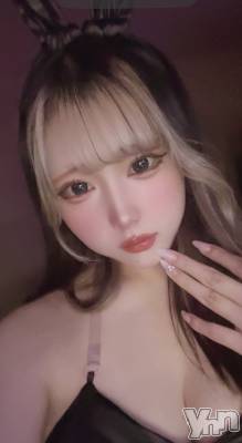 ���ܥ��ʥå��������륺�С�Girl's Bar All-in(�����륤��)(�����륺�С������륤��) ���䤫(20)��2��23���̥�֥�������������Фˡ�❕��