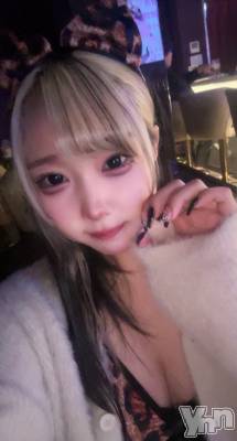 ���ܥ��ʥå��������륺�С�Girl's Bar All-in(�����륤��)(�����륺�С������륤��) ���䤫(20)��4��2���̥�֥����֥ҥ祦�Τ��䤫�Ǥ�❕��