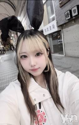 ���ܥ��ʥå��������륺�С�Girl's Bar All-in(�����륤��)(�����륺�С������륤��) ���䤫(20)��6��6���̥�֥����֤��塪��