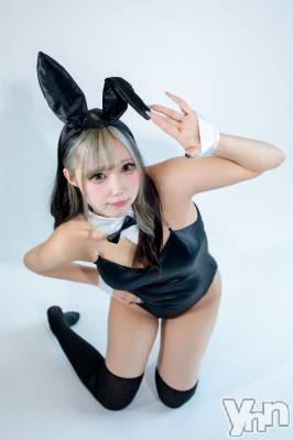 ���ܥ��ʥå��������륺�С�Girl's Bar All-in(�����륤��)(�����륺�С������륤��) ���䤫(20)��9��1���̥�֥�����9��Ϥ��䤫�С����ǡ���֡���