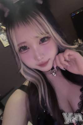 ���ܥ��ʥå��������륺�С�Girl's Bar All-in(�����륤��)(�����륺�С������륤��) ���䤫(20)��9��27���̥�֥����֤���������������3����❕🎀 ��