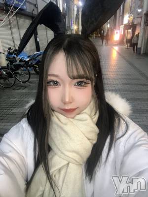 ���ܥ��ʥå��������륺�С�Girl's Bar All-in(�����륤��)(�����륺�С������륤��) ���䤫(20)��2��7���̥�֥����֤��礦�⤤�ޤ����