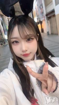 ���ܥ��ʥå��������륺�С�Girl's Bar All-in(�����륤��)(�����륺�С������륤��) ���䤫(20)��4��17���̥�֥����֤Τߤ٤���������