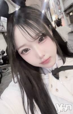 ���ܥ��ʥå��������륺�С�Girl's Bar All-in(�����륤��)(�����륺�С������륤��) ���䤫(20)��5��9���̥�֥����֤�����衼����
