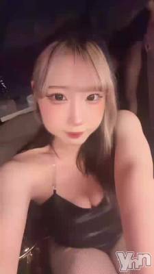 �����~🐰🥕🐾