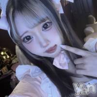 ���ܻԥ��ʥå��������륺�С� Girl's Bar All-in(�����륤��)(�����륺�С������륤��) ���䤫�β���(4����)