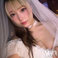 ���ܻԥ��ʥå��������륺�С� Girl's Bar All-in(�����륤��)(�����륺�С������륤��) ���䤫�β���(2����)