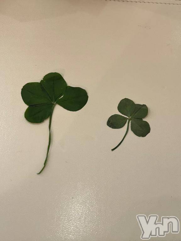 甲府デリヘル甲府人妻隊(コウフヒトヅマタイ) らいむ(21)の5月15日写メブログ「お礼日記💌」