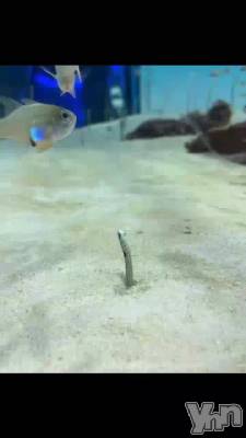 8��23�� 15��36ʬ��ư��