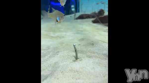 ��8��23�� 15��36ʬ��ư���