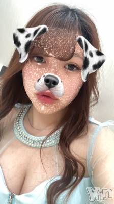 ܤˤ륭Х顦֡Cheriru()פΥ㥹ȡ֤ߤפξҲ