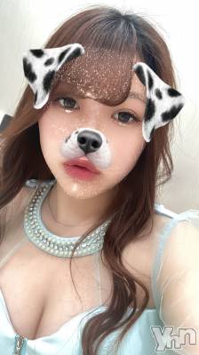 ܤˤ륭Х顦֡Cheriru()פΥ㥹ȡ֤ߤפξҲ