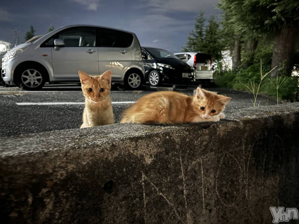 ���ܥ���Х��顦�����Cheriru(�������) �����ߤ�10��11���̥�֥����֣�Ϣ�٤�🫶��